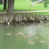 Yoctangee Park, Chillicothe, OH